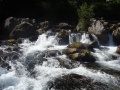 grandes_gillardes-30_120_01